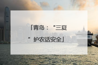 青岛：“三夏”护农话安全