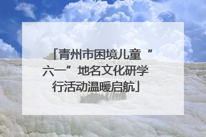 青州市困境儿童“六一”地名文化研学行活动温暖启航