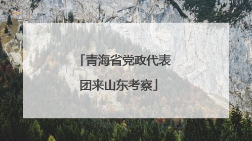 青海省党政代表团来山东考察
