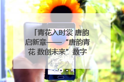 青花入时裳 唐韵启新章——“唐韵青花 数创未来”数字文创设计大赛启幕