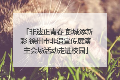 非遗正青春 彭城添新彩 徐州市非遗宣传展演主会场活动走进校园