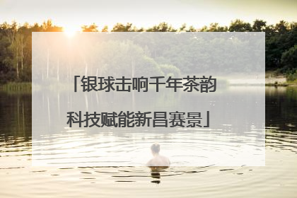 银球击响千年茶韵 科技赋能新昌赛景