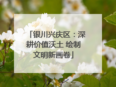 银川兴庆区：深耕价值沃土 绘制文明新画卷