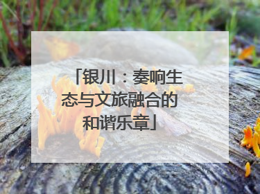 银川：奏响生态与文旅融合的和谐乐章