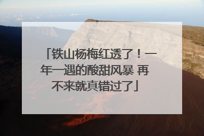 铁山杨梅红透了！一年一遇的酸甜风暴 再不来就真错过了