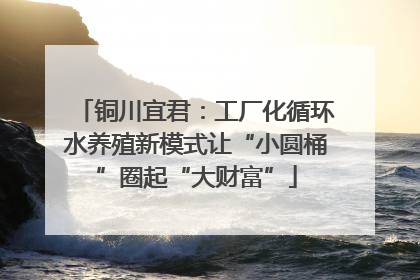 铜川宜君：工厂化循环水养殖新模式让“小圆桶”圈起“大财富”