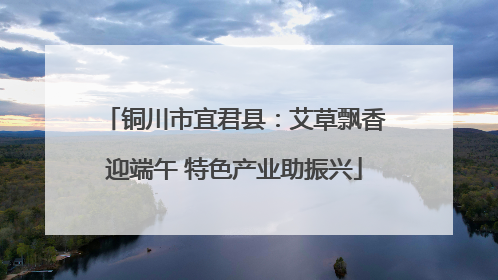 铜川市宜君县：艾草飘香迎端午 特色产业助振兴