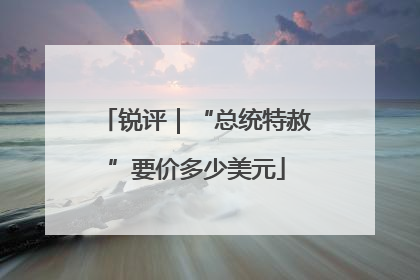 锐评｜“总统特赦”要价多少美元