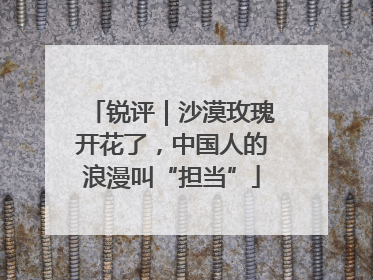 锐评｜沙漠玫瑰开花了，中国人的浪漫叫“担当”