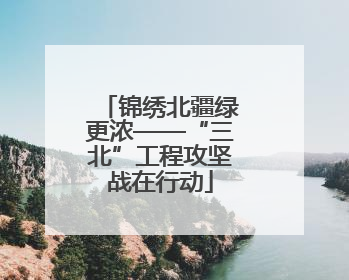 锦绣北疆绿更浓——“三北”工程攻坚战在行动