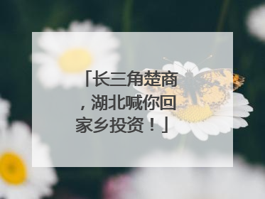 长三角楚商，湖北喊你回家乡投资！