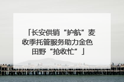 长安供销“护航”麦收季托管服务助力金色田野“抢收忙”