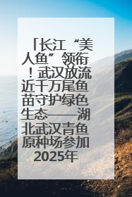 长江“美人鱼”领衔！武汉放流近千万尾鱼苗守护绿色生态——湖北武汉青鱼原种场参加2025年“全国放鱼日”增殖放流活动