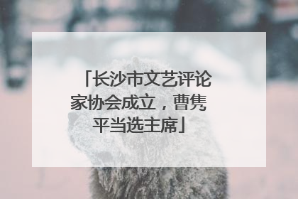 长沙市文艺评论家协会成立，曹隽平当选主席