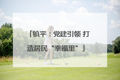 镇平：党建引领 打造居民“幸福里”