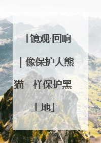 镜观·回响｜像保护大熊猫一样保护黑土地