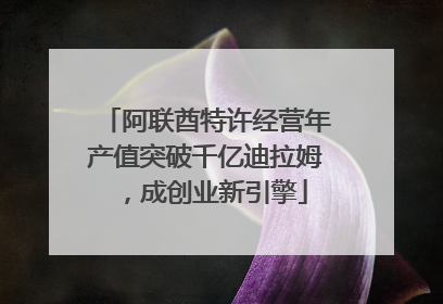 阿联酋特许经营年产值突破千亿迪拉姆，成创业新引擎