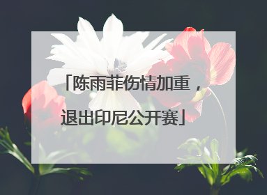 陈雨菲伤情加重，退出印尼公开赛