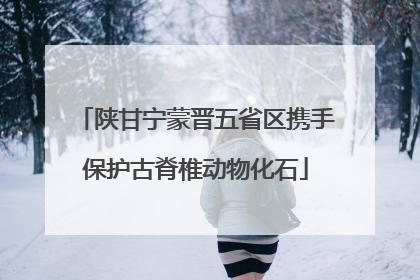 陕甘宁蒙晋五省区携手保护古脊椎动物化石