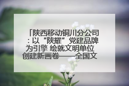 陕西移动铜川分公司：以“陕耀”党建品牌为引擎 绘就文明单位创建新画卷——全国文明单位创建纪实