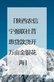 陕西农信宁强联社普惠贷款浇开万亩金银花海
