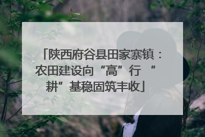 陕西府谷县田家寨镇：农田建设向“高”行 “耕”基稳固筑丰收