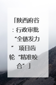 陕西府谷：行政审批“全链发力” 项目齿轮“精准咬合”