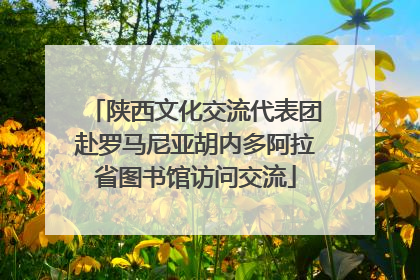 陕西文化交流代表团赴罗马尼亚胡内多阿拉省图书馆访问交流