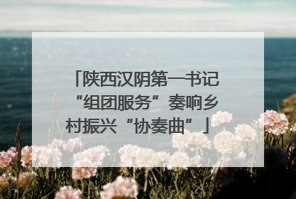 陕西汉阴第一书记“组团服务”奏响乡村振兴“协奏曲”