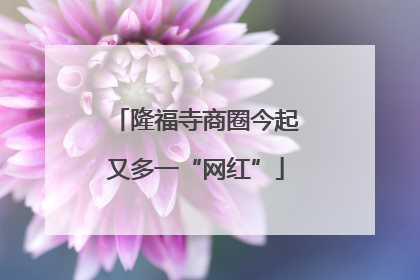隆福寺商圈今起又多一“网红”