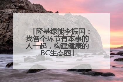 隆基绿能李振国：找各个环节有本事的人一起，构建健康的BC生态圈