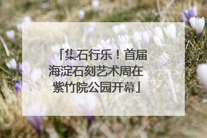 集石行乐！首届海淀石刻艺术周在紫竹院公园开幕
