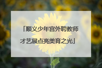 顺义少年宫外聘教师才艺展点亮美育之光