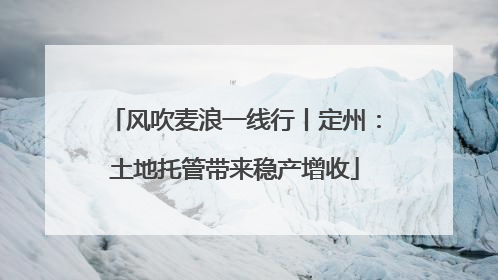 风吹麦浪一线行丨定州：土地托管带来稳产增收