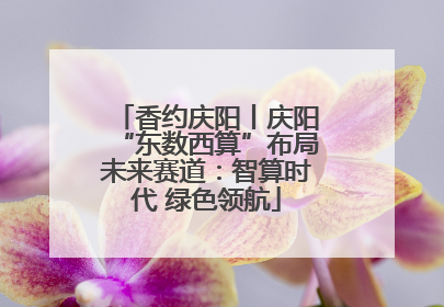 香约庆阳丨庆阳“东数西算”布局未来赛道：智算时代 绿色领航