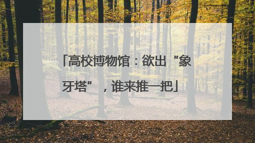 高校博物馆：欲出“象牙塔”，谁来推一把