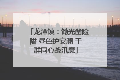 龙潭镇：锄光凿险隘 昼色护安澜 干群同心战汛魔