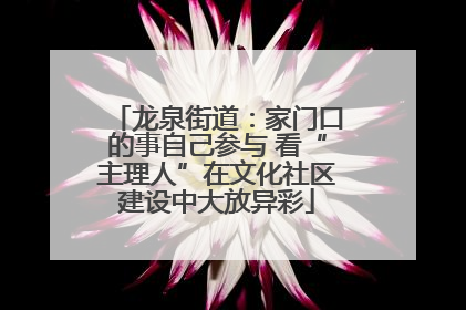 龙泉街道：家门口的事自己参与 看“主理人”在文化社区建设中大放异彩