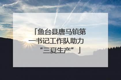 鱼台县唐马镇第一书记工作队助力“三夏生产”