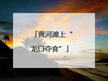 黄河滩上“龙口夺食”