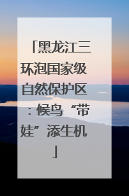黑龙江三环泡国家级自然保护区：候鸟“带娃”添生机