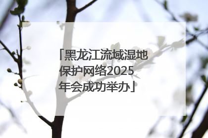黑龙江流域湿地保护网络2025年会成功举办