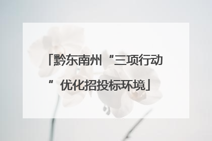 黔东南州“三项行动”优化招投标环境