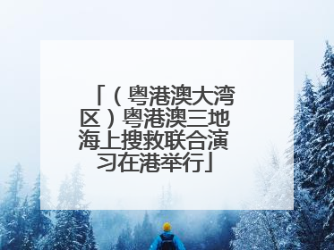 （粤港澳大湾区）粤港澳三地海上搜救联合演习在港举行
