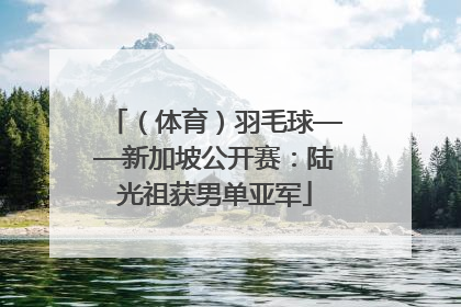 （体育）羽毛球——新加坡公开赛：陆光祖获男单亚军