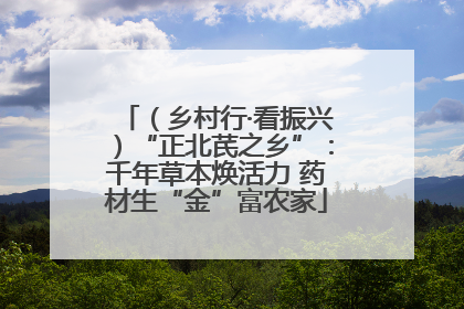 （乡村行·看振兴）“正北芪之乡”：千年草本焕活力 药材生“金”富农家