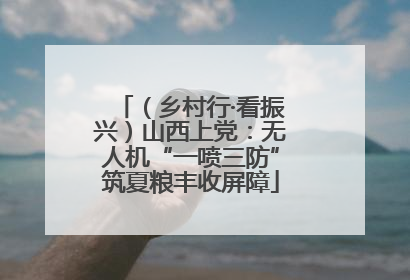 （乡村行·看振兴）山西上党：无人机“一喷三防”筑夏粮丰收屏障