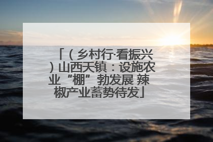 （乡村行·看振兴）山西天镇：设施农业“棚”勃发展 辣椒产业蓄势待发