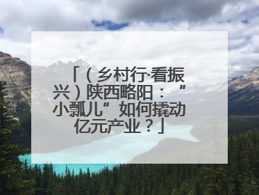 （乡村行·看振兴）陕西略阳：“小瓢儿”如何撬动亿元产业？