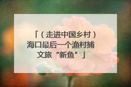 （走进中国乡村）海口最后一个渔村捕文旅“新鱼”